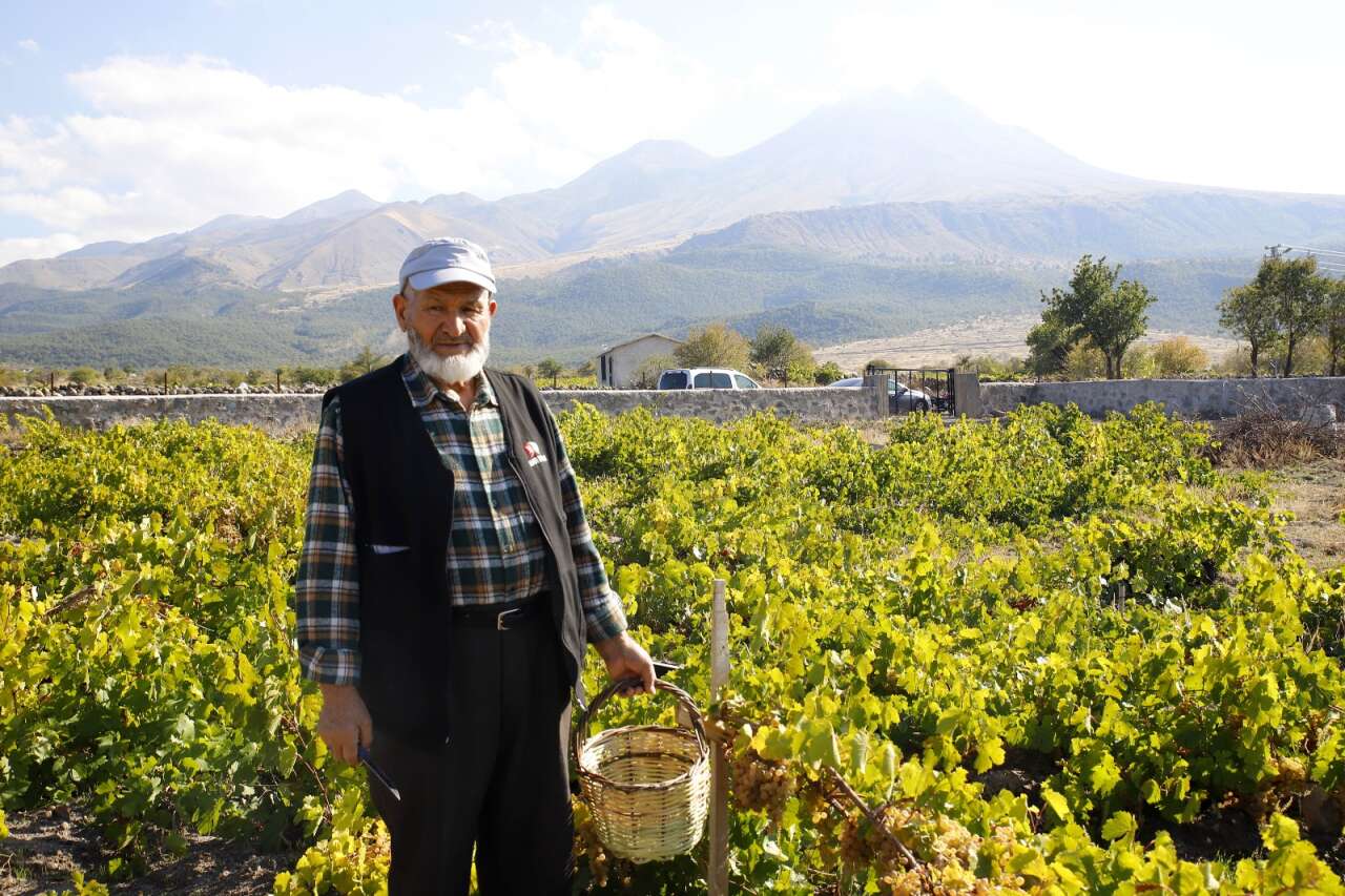 58 yıllık aşkın en doğal hali! Eşine her yıl aynı buketi veriyor 4